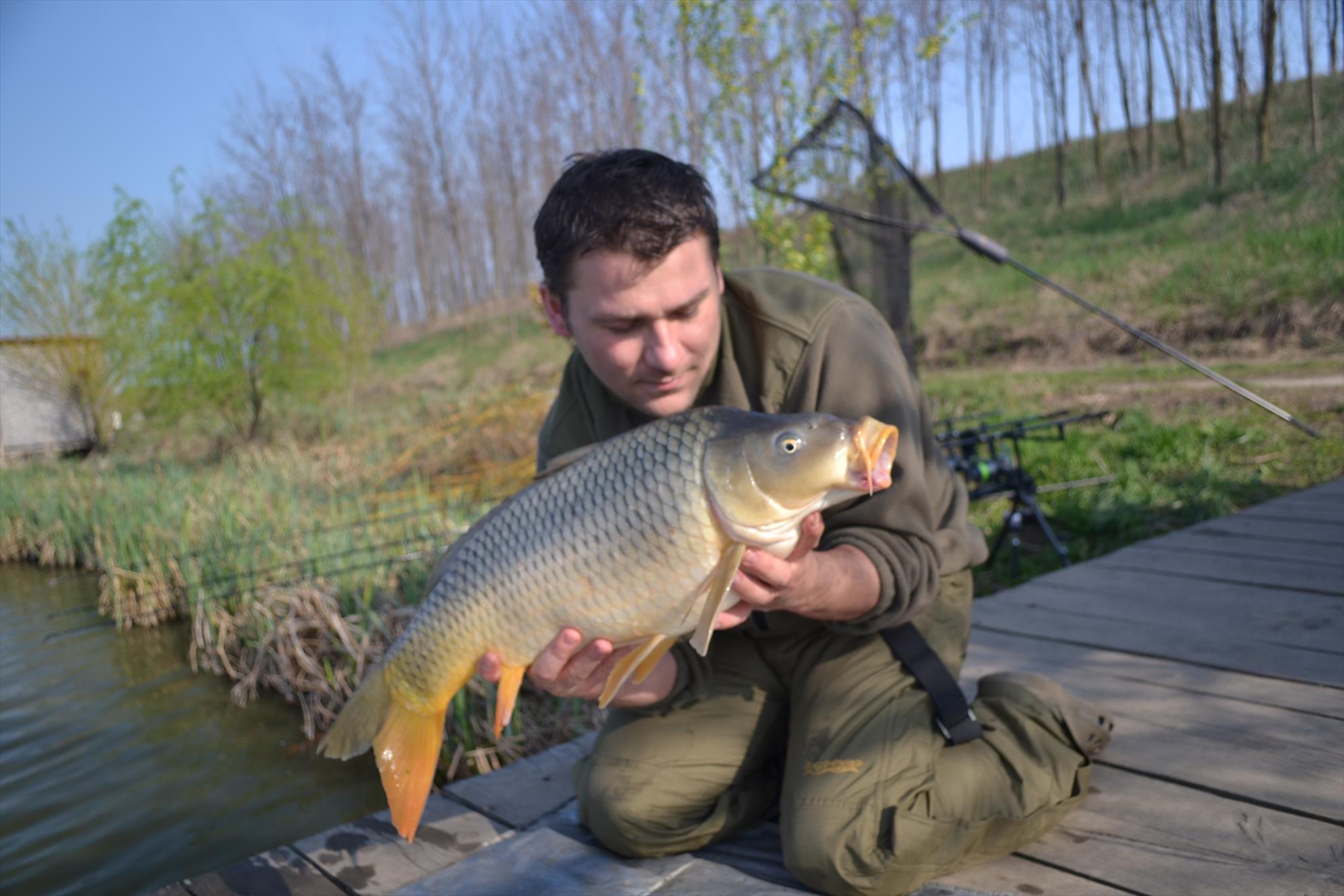 Magura 9 Aprilie - 201404033219.JPG